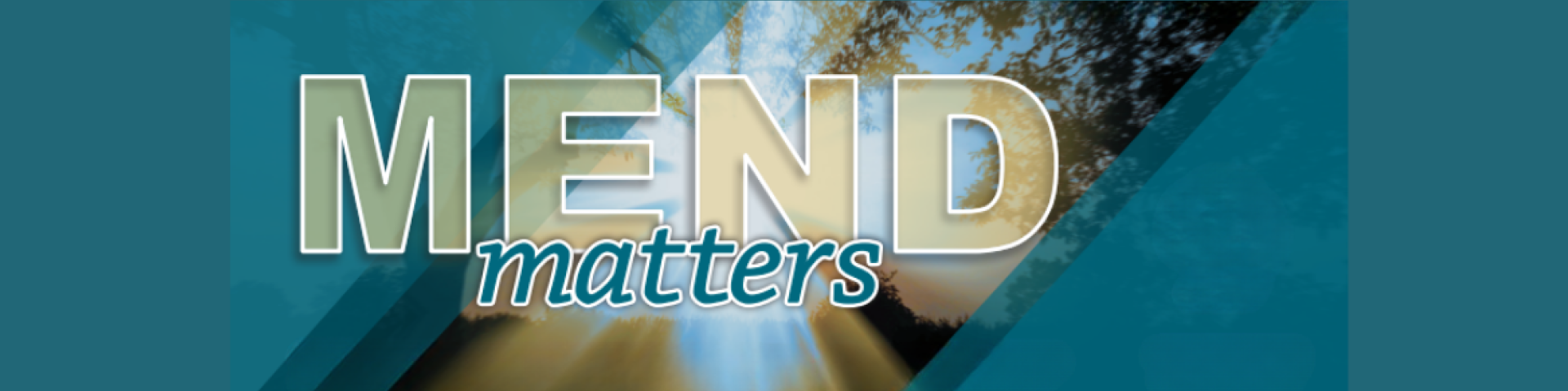 Newsletters